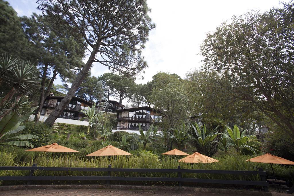 Monteverde Mazamitla Ngoại thất bức ảnh